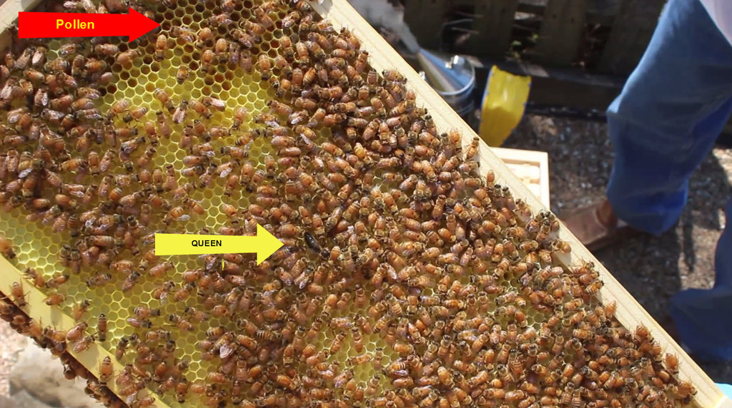 5-1-2016 10-53-23 PM